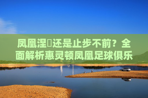 凤凰涅槃还是止步不前？全面解析惠灵顿凤凰足球俱乐部的现状与前景