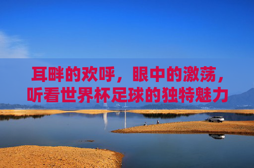 耳畔的欢呼，眼中的激荡，听看世界杯足球的独特魅力
