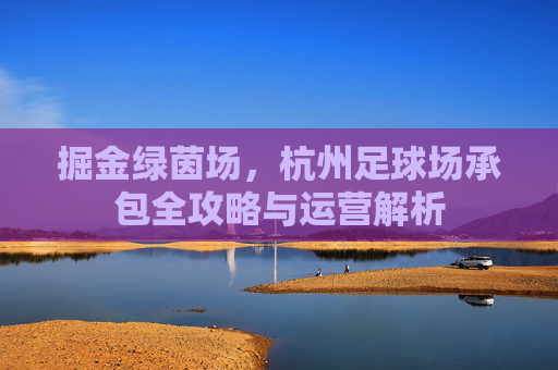 掘金绿茵场，杭州足球场承包全攻略与运营解析