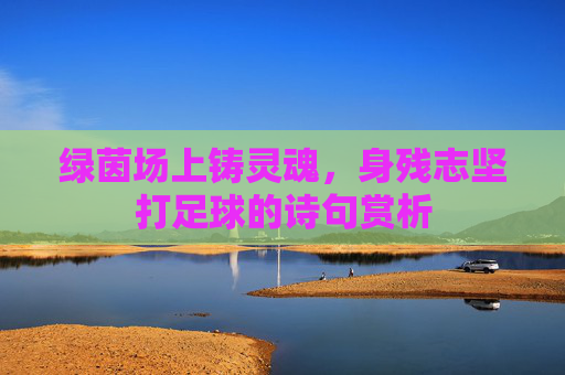 绿茵场上铸灵魂，身残志坚打足球的诗句赏析