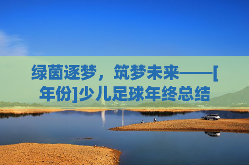 绿茵逐梦，筑梦未来——[年份]少儿足球年终总结