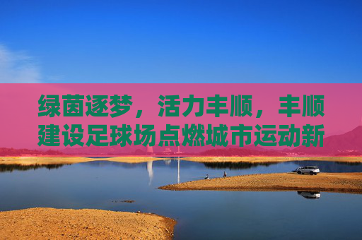 绿茵逐梦，活力丰顺，丰顺建设足球场点燃城市运动新引擎