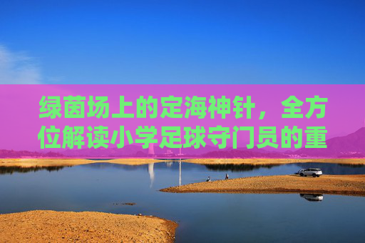 绿茵场上的定海神针，全方位解读小学足球守门员的重要性与培养