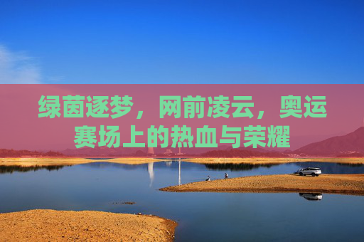 绿茵逐梦，网前凌云，奥运赛场上的热血与荣耀