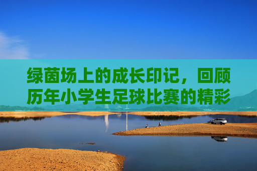 绿茵场上的成长印记，回顾历年小学生足球比赛的精彩瞬间与精神传承