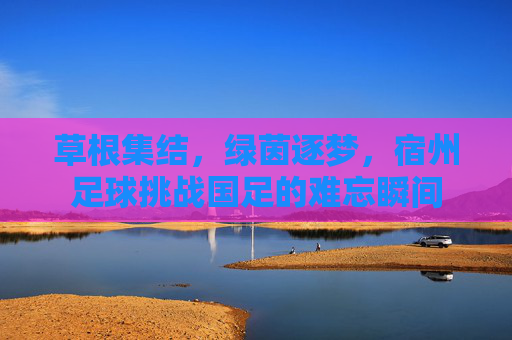 草根集结，绿茵逐梦，宿州足球挑战国足的难忘瞬间