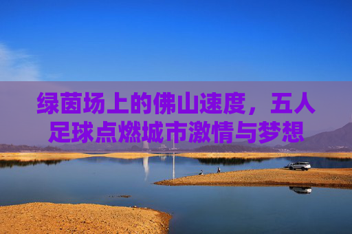 绿茵场上的佛山速度，五人足球点燃城市激情与梦想