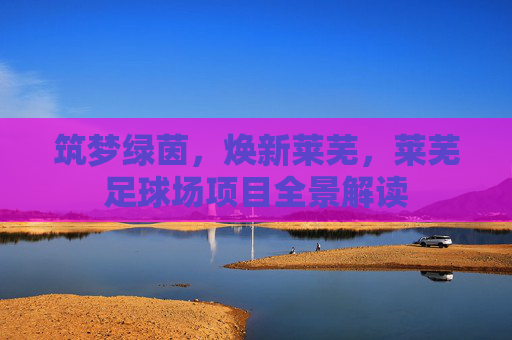 筑梦绿茵，焕新莱芜，莱芜足球场项目全景解读