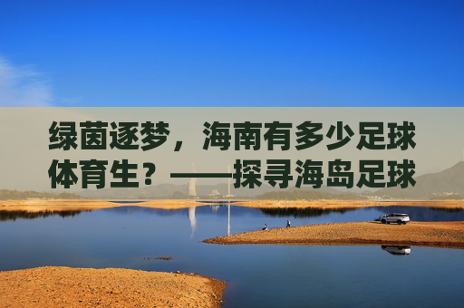 绿茵逐梦，海南有多少足球体育生？——探寻海岛足球的青训人口与未来