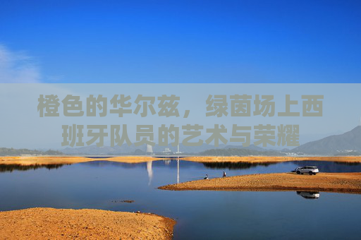 橙色的华尔兹，绿茵场上西班牙队员的艺术与荣耀