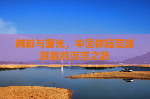 荆棘与曙光，中国体坛足球联赛的沉浮之路