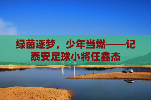 绿茵逐梦,少年当燃——记泰安足球小将任鑫杰