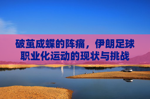 破茧成蝶的阵痛，伊朗足球职业化运动的现状与挑战