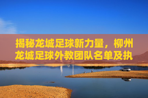 揭秘龙城足球新力量,柳州龙城足球外教团队名单及执教理念
