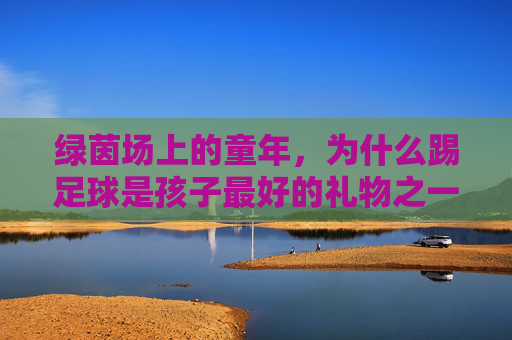 绿茵场上的童年，为什么踢足球是孩子最好的礼物之一