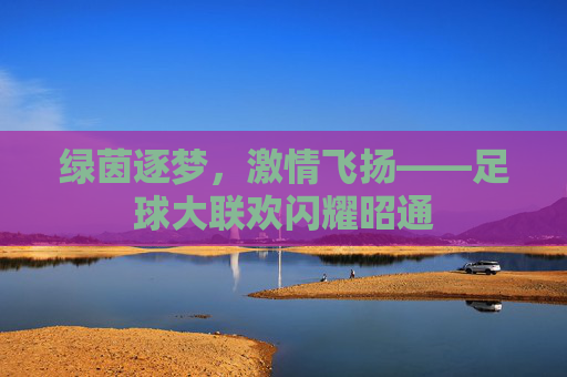 绿茵逐梦，激情飞扬——足球大联欢闪耀昭通