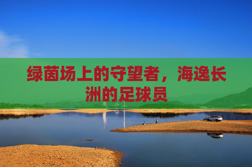 绿茵场上的守望者，海逸长洲的足球员