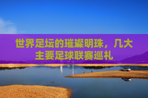 世界足坛的璀璨明珠，几大主要足球联赛巡礼