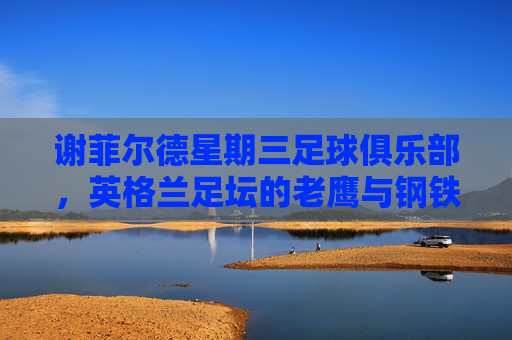 谢菲尔德星期三足球俱乐部，英格兰足坛的老鹰与钢铁之城