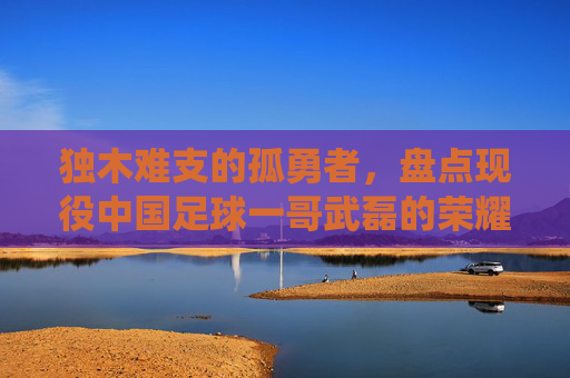 独木难支的孤勇者,盘点现役中国足球一哥武磊的荣耀与争议