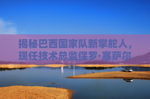 揭秘巴西国家队新掌舵人，现任技术总监保罗·塞萨尔·费雷拉是谁？