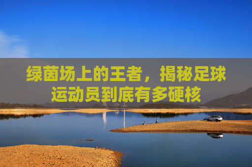 绿茵场上的王者，揭秘足球运动员到底有多硬核