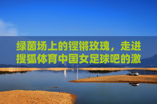 绿茵场上的铿锵玫瑰,走进搜狐体育中国女足球吧的激情与守望