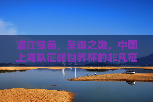 浦江绿茵,荣耀之巅,中国上海队征战世界杯的非凡征程