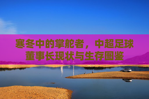 寒冬中的掌舵者，中超足球董事长现状与生存图鉴