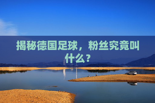 揭秘德国足球，粉丝究竟叫什么？