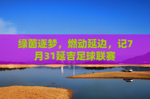 绿茵逐梦,燃动延边,记7月31延吉足球联赛