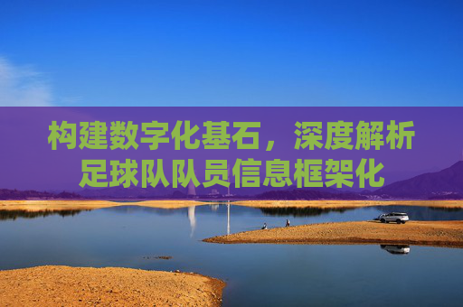 构建数字化基石，深度解析足球队队员信息框架化
