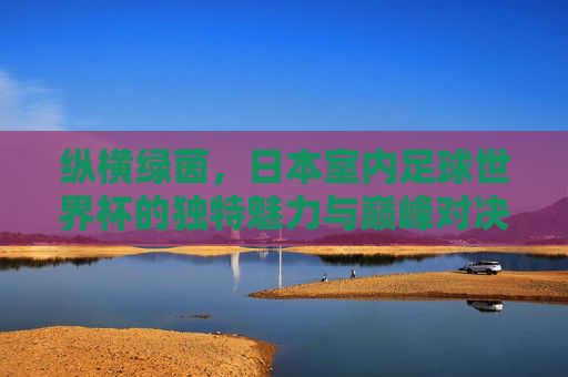纵横绿茵,日本室内足球世界杯的独特魅力与巅峰对决
