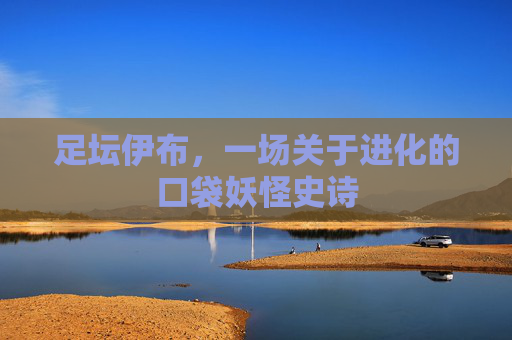 足坛伊布,一场关于进化的口袋妖怪史诗