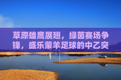 草原雄鹰展翅,绿茵赛场争锋,盛乐蒙羊足球的中乙突围之路