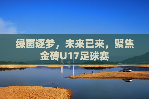 绿茵逐梦,未来已来,聚焦金砖U17足球赛