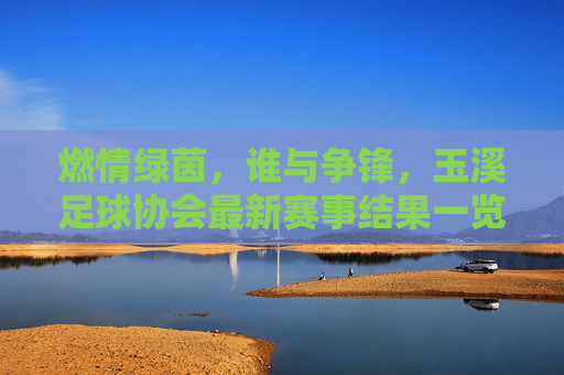 燃情绿茵,谁与争锋,玉溪足球协会最新赛事结果一览