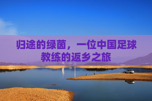 归途的绿茵，一位中国足球教练的返乡之旅