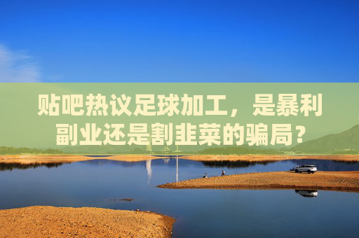 贴吧热议足球加工,是暴利副业还是割韭菜的骗局?