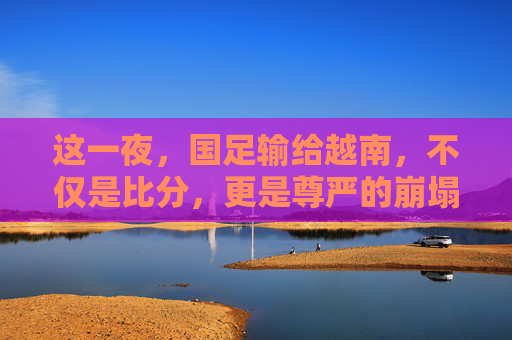 这一夜,国足输给越南,不仅是比分,更是尊严的崩塌