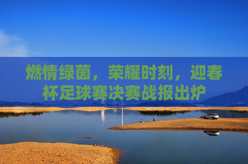燃情绿茵，荣耀时刻，迎春杯足球赛决赛战报出炉