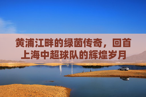 黄浦江畔的绿茵传奇,回首上海中超球队的辉煌岁月