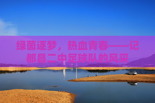绿茵逐梦,热血青春——记都昌二中足球队的风采