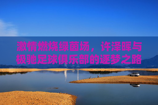 激情燃烧绿茵场,许泽晖与极驰足球俱乐部的逐梦之路