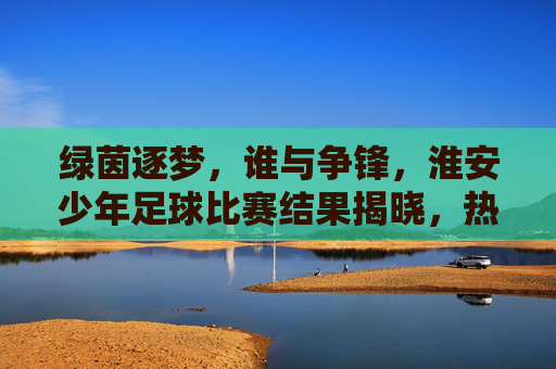 绿茵逐梦，谁与争锋，淮安少年足球比赛结果揭晓，热血少年展风采