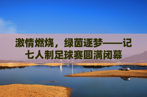 激情燃烧,绿茵逐梦——记七人制足球赛圆满闭幕