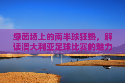 绿茵场上的南半球狂热,解读澳大利亚足球比赛的魅力