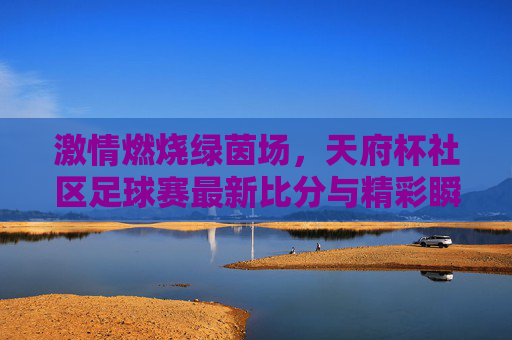 激情燃烧绿茵场,天府杯社区足球赛最新比分与精彩瞬间盘点