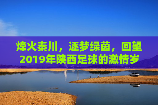 烽火秦川,逐梦绿茵,回望2019年陕西足球的激情岁月