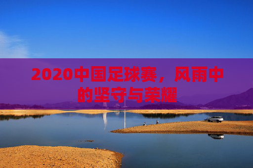 2020中国足球赛,风雨中的坚守与荣耀